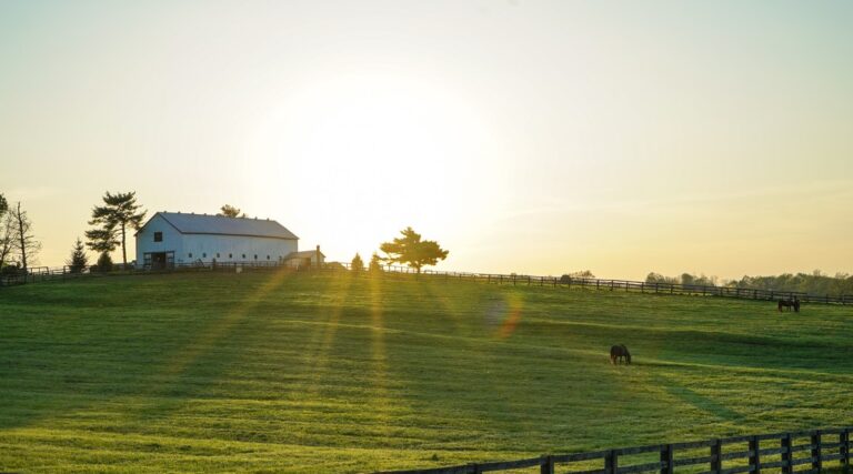 A Buyer’s Guide: Things to Look Out for While Buying Equestrian Farms