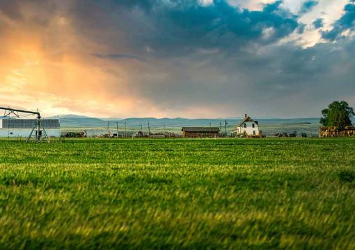 How and When to Change Your Farm Credit Lender