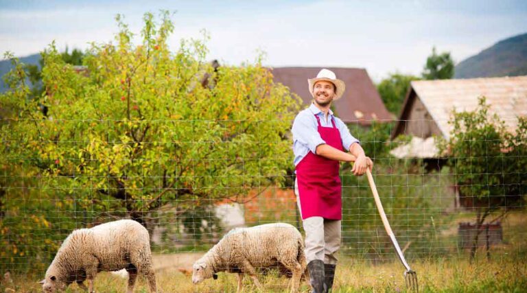 The Importance of Diversification in Modern Farming