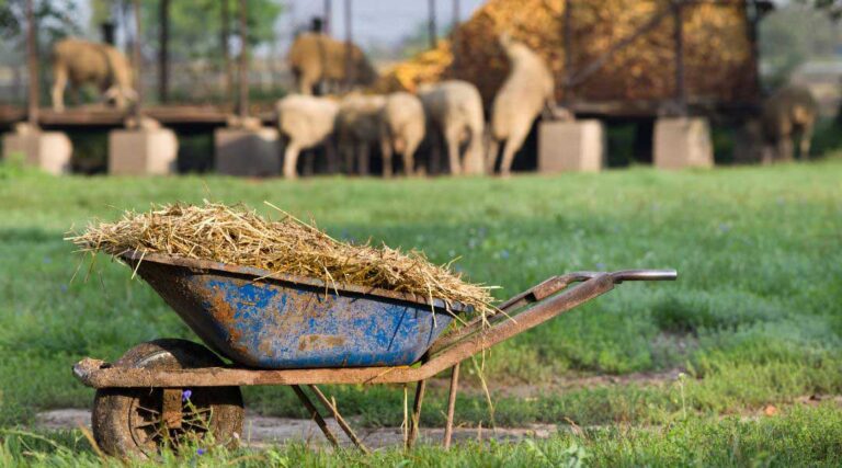 a wheel barrow containing manure