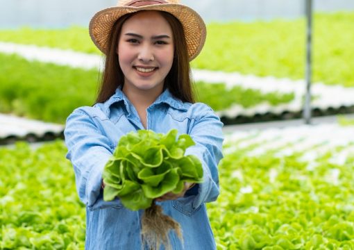 Six Tips for Women in Agribusiness