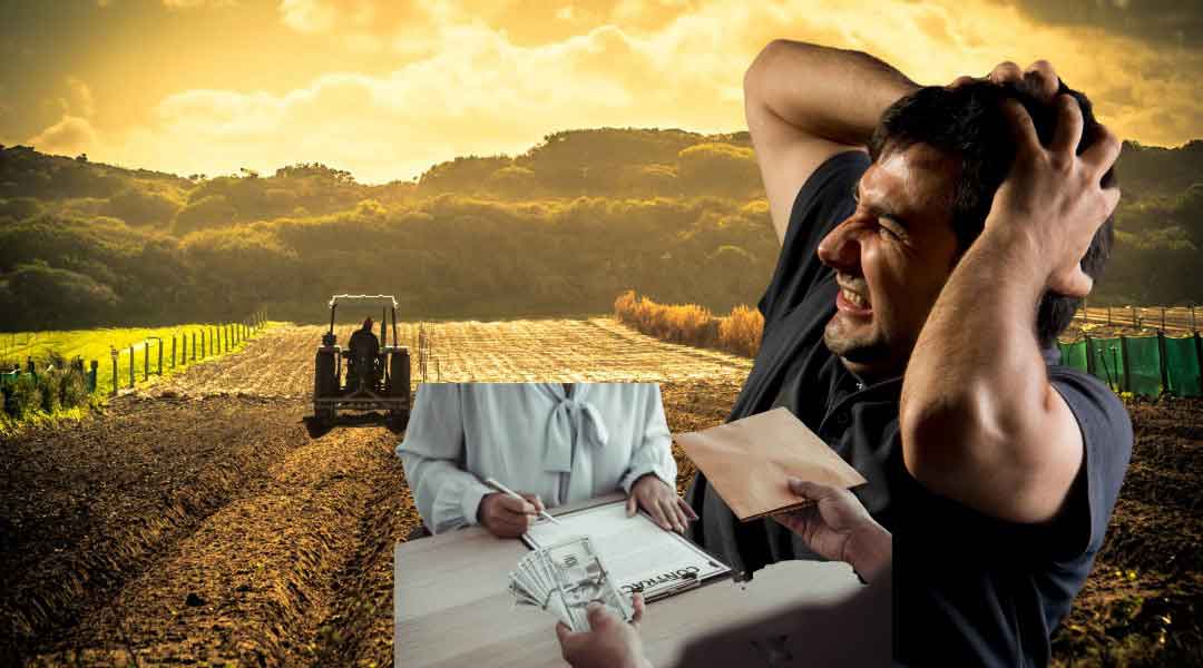 Mistakes to Avoid When Seeking an Agricultural Loan