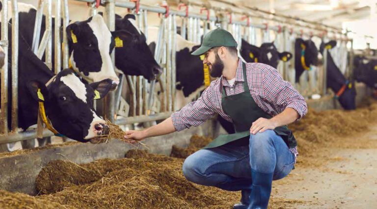 5 Profitable Dairy Business Ideas