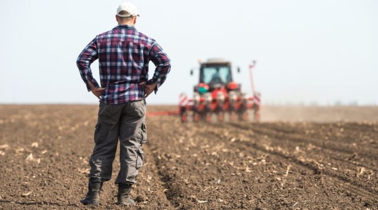 Side Hustles For Farmers During Slow Seasons