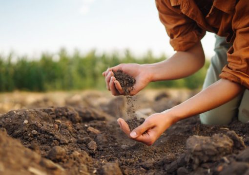 How to Improve Long-Term Soil Health on Your Farm