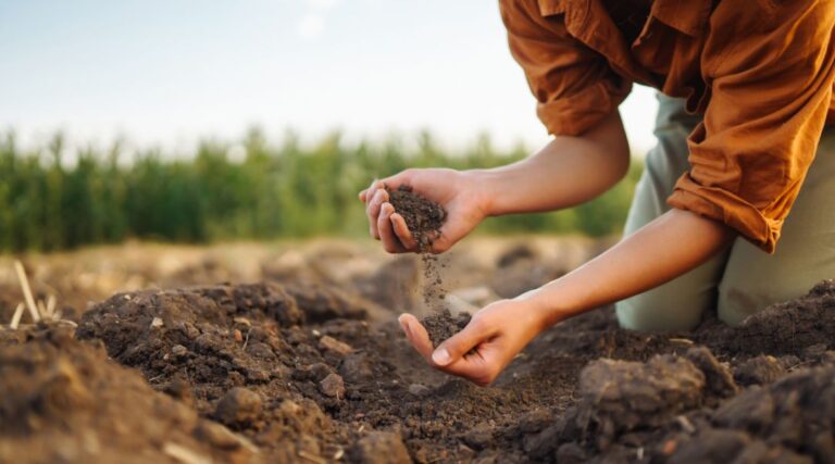 How to Improve Long-Term Soil Health on Your Farm