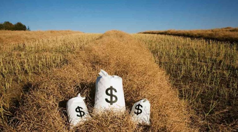 Farm Loans: Understanding Traditional vs. Alternative Financing