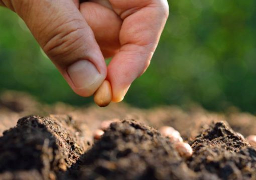 Planting Season Tips from an Ag Lender