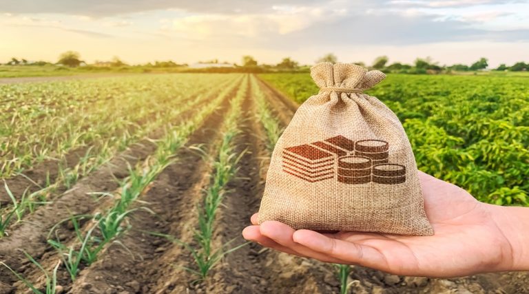 How Market Conditions Impact Farm Loan Availability and Terms