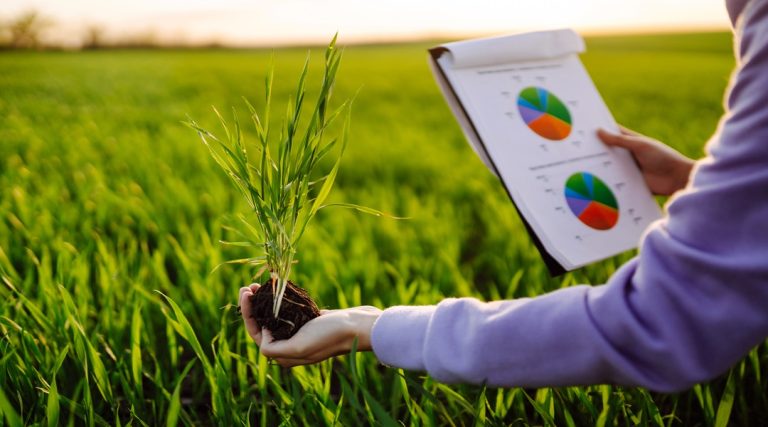 Smart Investment Strategies for Growing Your Farm Business