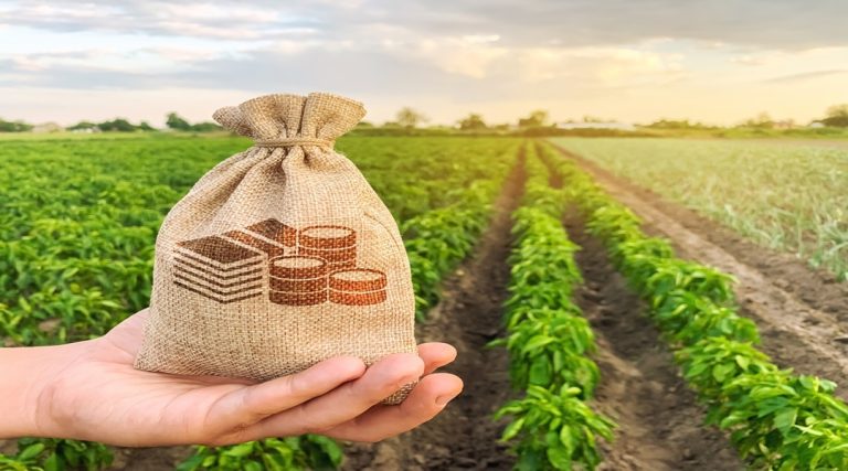 Managing Seasonal Income Fluctuations in Farming