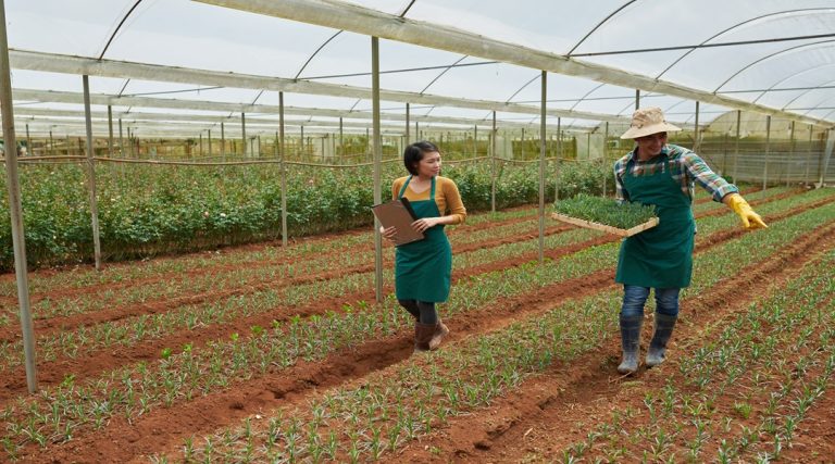 Agri-Tourism: How Farmers Can Boost Income through Farm Tourism