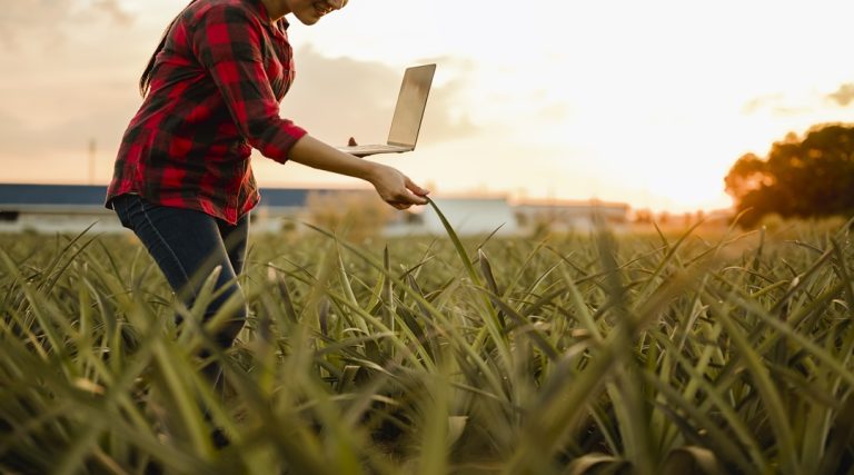 Smart Farming: The Role of AI and IoT in Agriculture