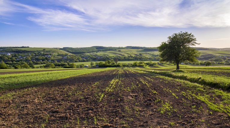 What is Regenerative Agriculture? How It Differs from Conventional Farming